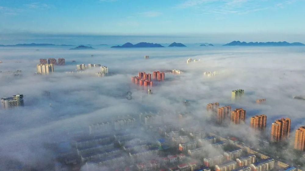小猫钓鱼开船版最新版下载