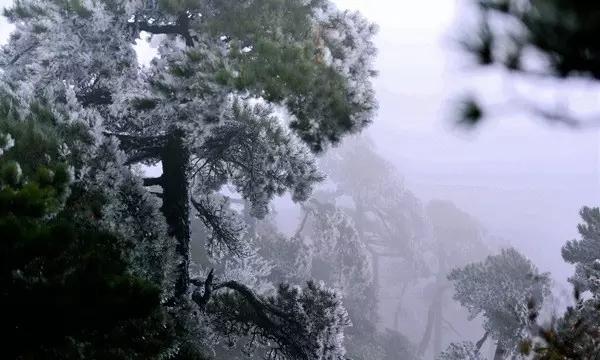 加拿大里多运河冰场重新开放(环球掠影)